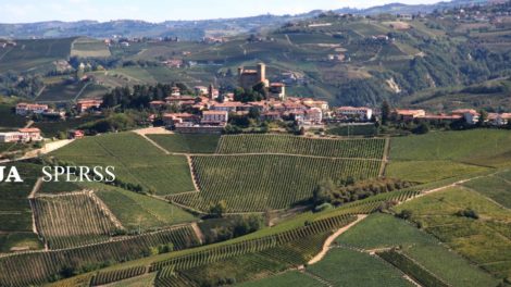 WEINWISSERS Wein des Monats: Gaja Sperss 1999 – Piemont im Spätherbst – ein Sehnsuchtsort für Weinkulinariker – Barolo- und Trüffelreise