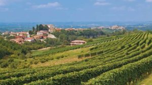 Konradin Leserreisen: Trüffel, Wein und Kultur – Italienreise für alle Sinne