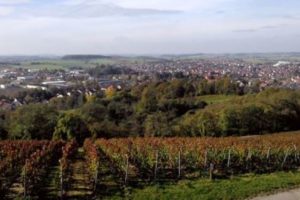 Kogges Weintipp: 2012 Burg Ravensburger Husarenkappe Riesling GG