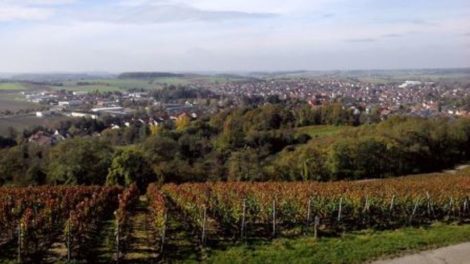 Kogges Weintipp: 2012 Burg Ravensburger Husarenkappe Riesling GG