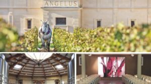 Bordeaux-Primeurs 2019: Ein grosses Jahr zum interessanten Preis